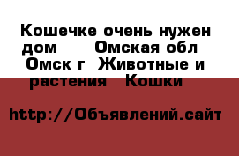 Кошечке очень нужен дом!!! - Омская обл., Омск г. Животные и растения » Кошки   